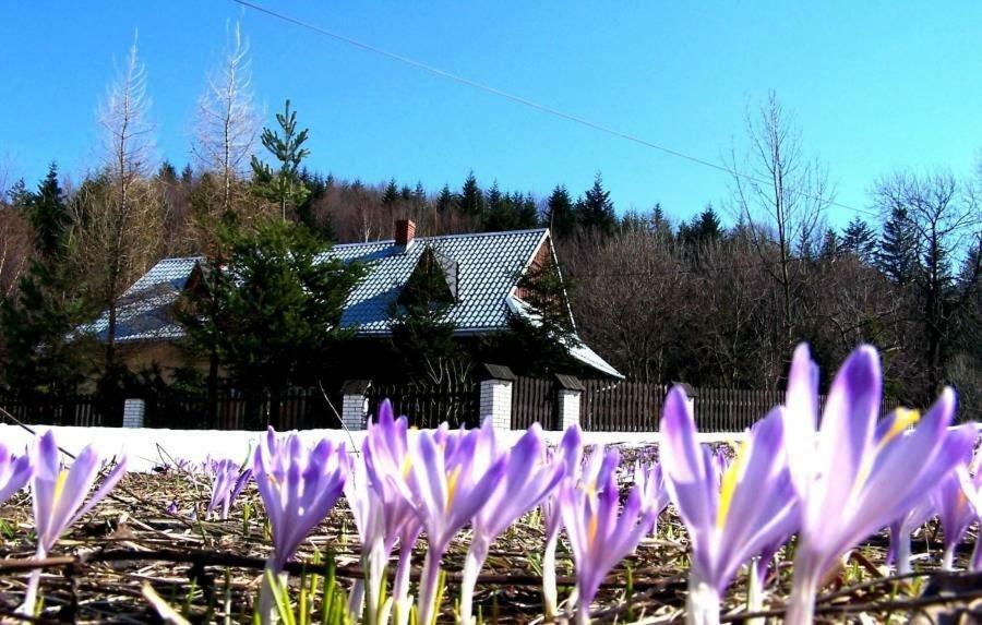 Góralska Czarcia Chata pod Jałowcem Stryszawa Exterior foto